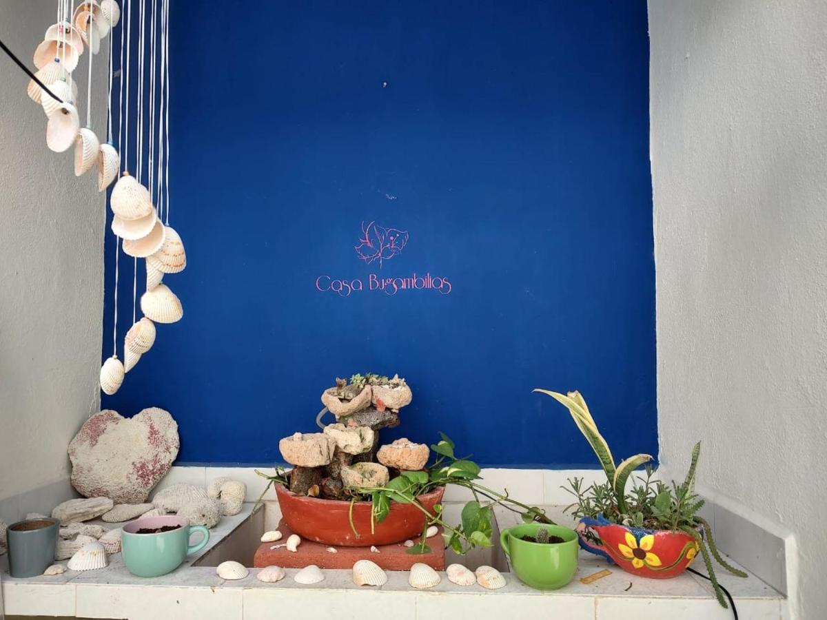 ホテル Casa Bugambilias カンクン エクステリア 写真